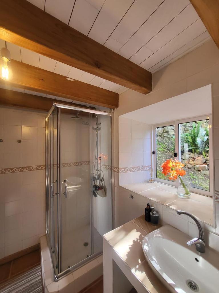Casa Anjos Holiday Cottages Cedros Exterior photo