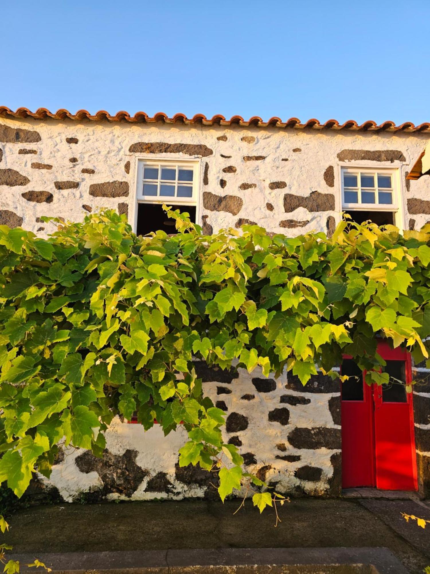 Casa Anjos Holiday Cottages Cedros Exterior photo