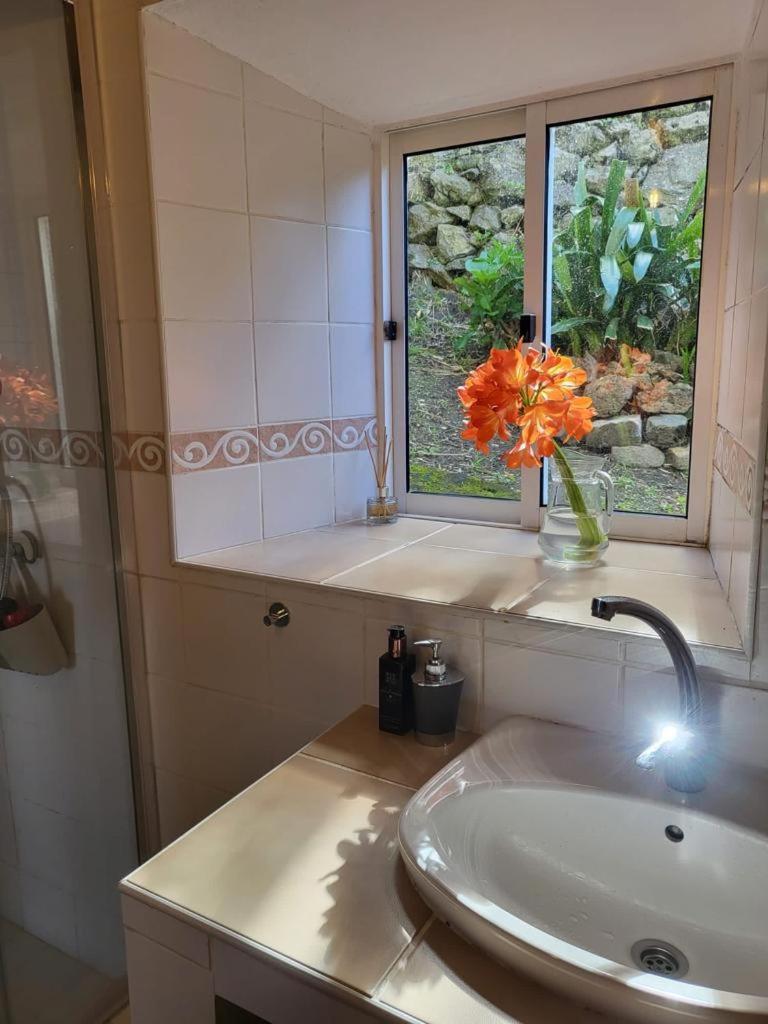 Casa Anjos Holiday Cottages Cedros Exterior photo